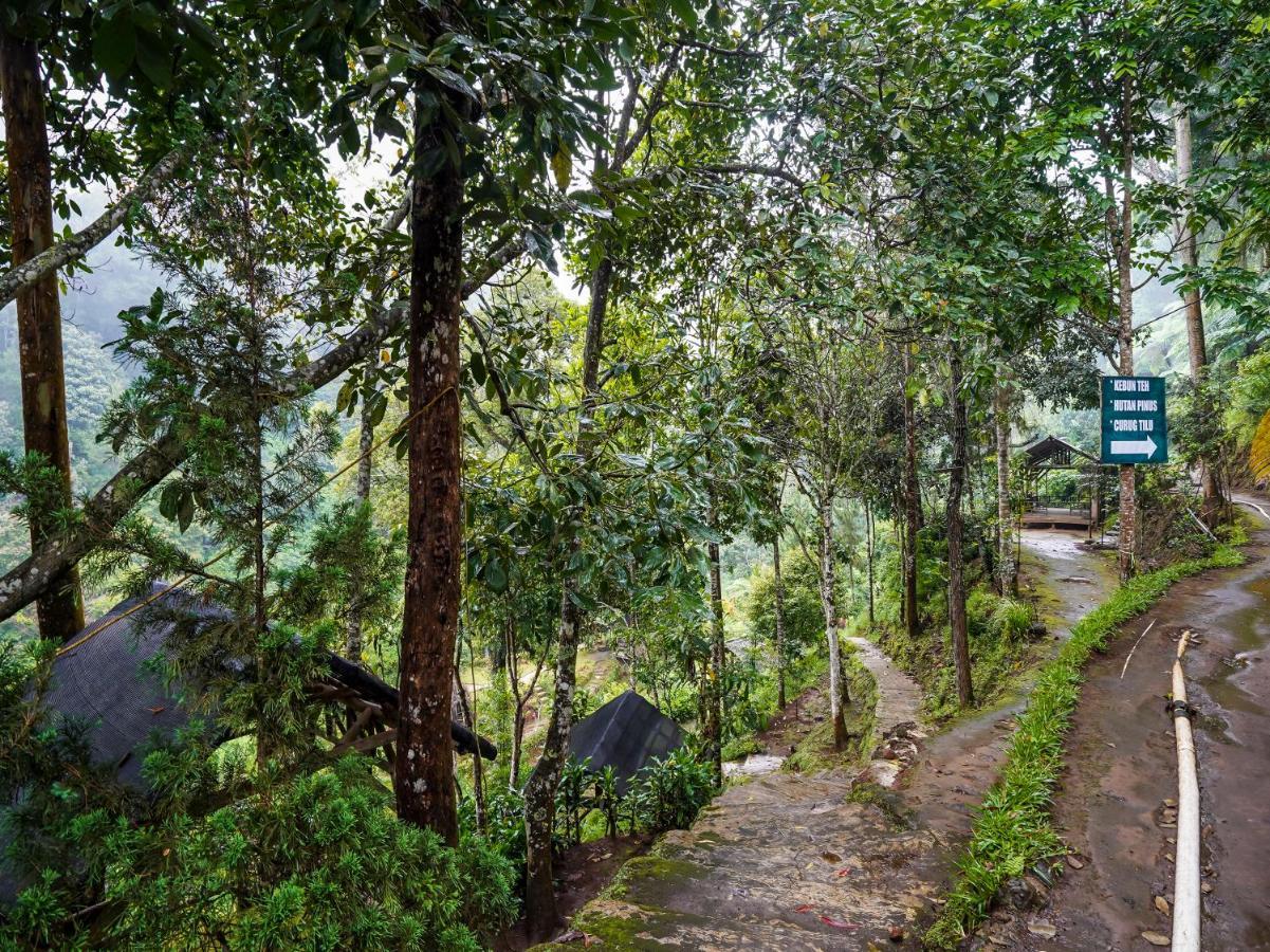 Oyo Homes 90915 Eco Tourism Desa Cihanjuang Rahayu Ciwangun Indah Camp Villas Bongkar Buitenkant foto
