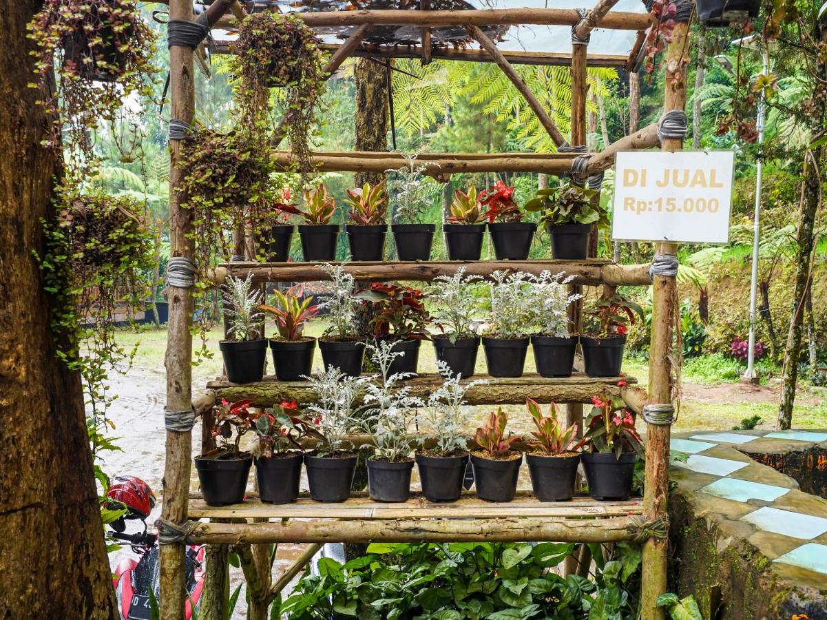 Oyo Homes 90915 Eco Tourism Desa Cihanjuang Rahayu Ciwangun Indah Camp Villas Bongkar Buitenkant foto