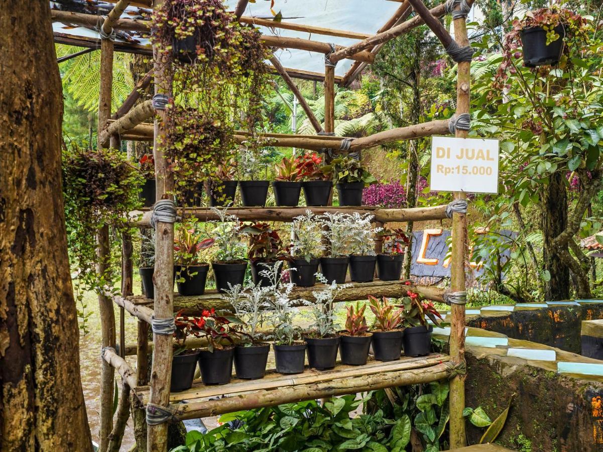Oyo Homes 90915 Eco Tourism Desa Cihanjuang Rahayu Ciwangun Indah Camp Villas Bongkar Buitenkant foto