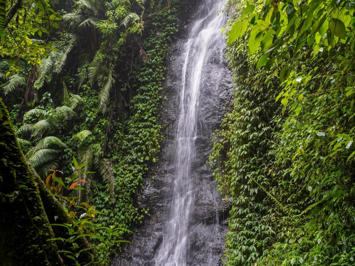 Oyo Homes 90915 Eco Tourism Desa Cihanjuang Rahayu Ciwangun Indah Camp Villas Bongkar Buitenkant foto