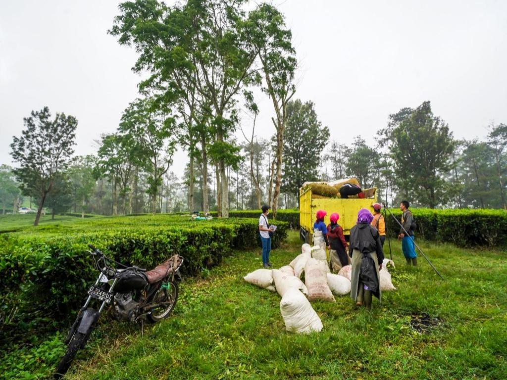 Oyo Homes 90915 Eco Tourism Desa Cihanjuang Rahayu Ciwangun Indah Camp Villas Bongkar Buitenkant foto