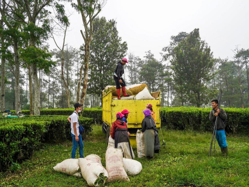 Oyo Homes 90915 Eco Tourism Desa Cihanjuang Rahayu Ciwangun Indah Camp Villas Bongkar Buitenkant foto