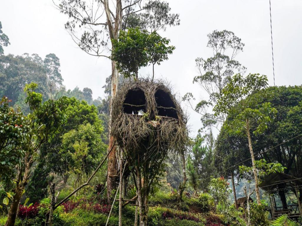 Oyo Homes 90915 Eco Tourism Desa Cihanjuang Rahayu Ciwangun Indah Camp Villas Bongkar Buitenkant foto