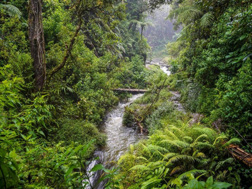 Oyo Homes 90915 Eco Tourism Desa Cihanjuang Rahayu Ciwangun Indah Camp Villas Bongkar Buitenkant foto